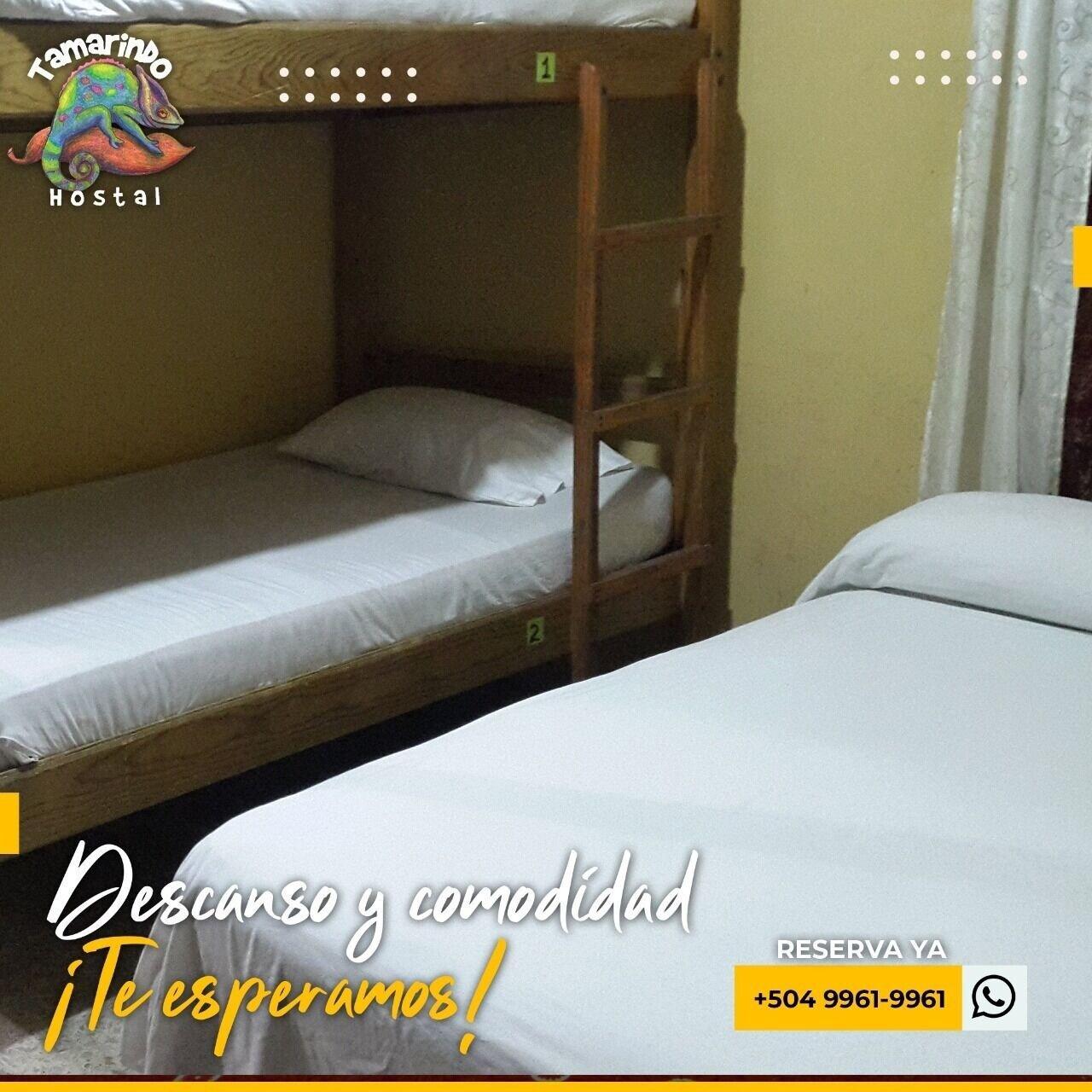 Tamarindo Hostel San Pedro Sula Kültér fotó